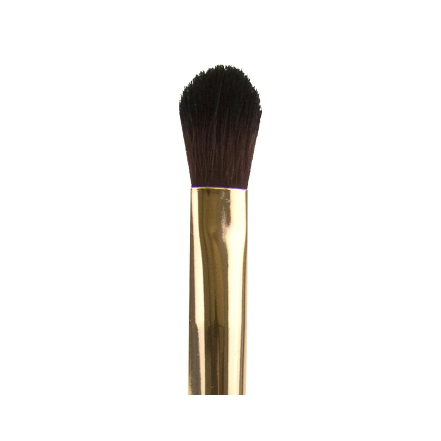 Pro Cosmetic Brush